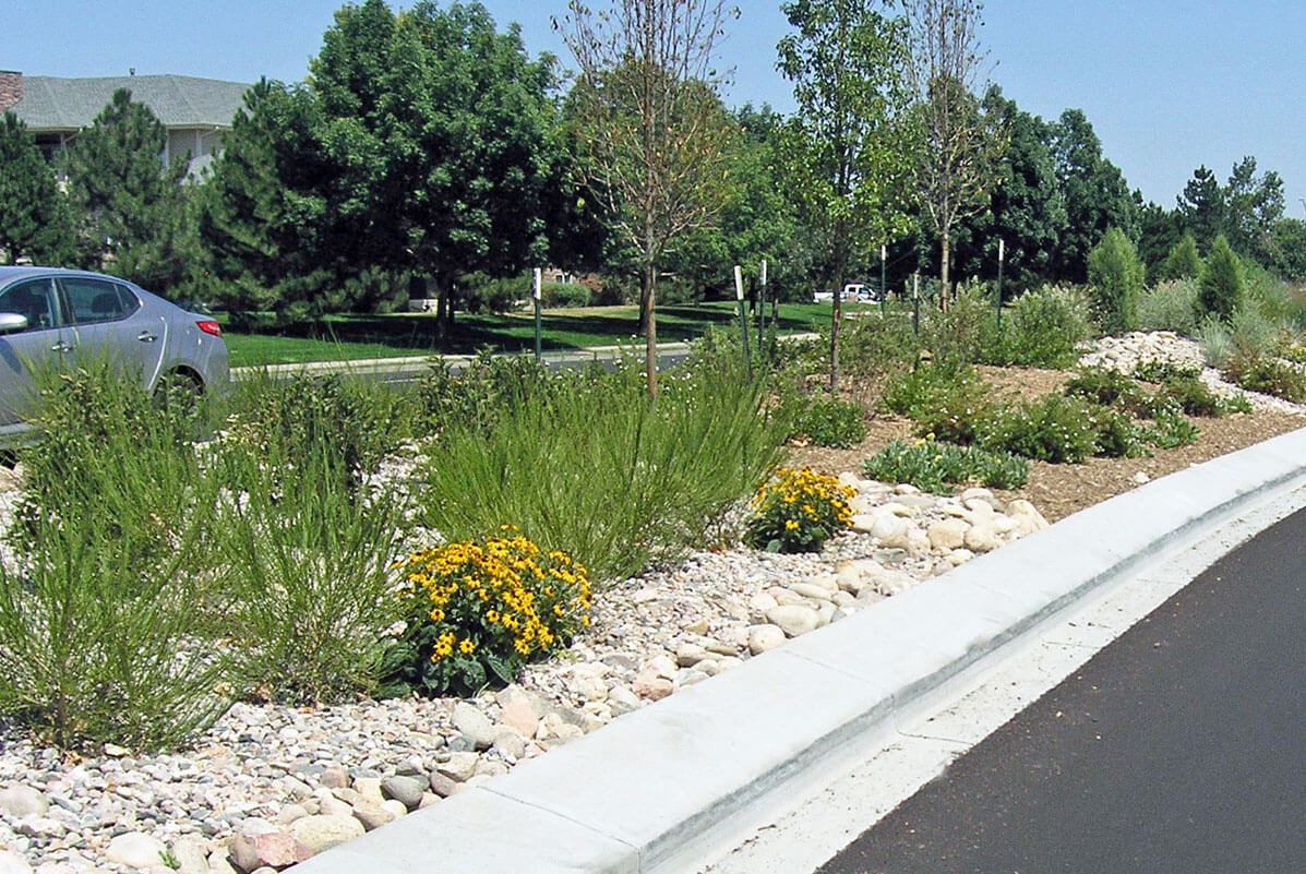Plants Medians at Harmony and Lemay _ Ripley Design Inc Fort Collins, CO